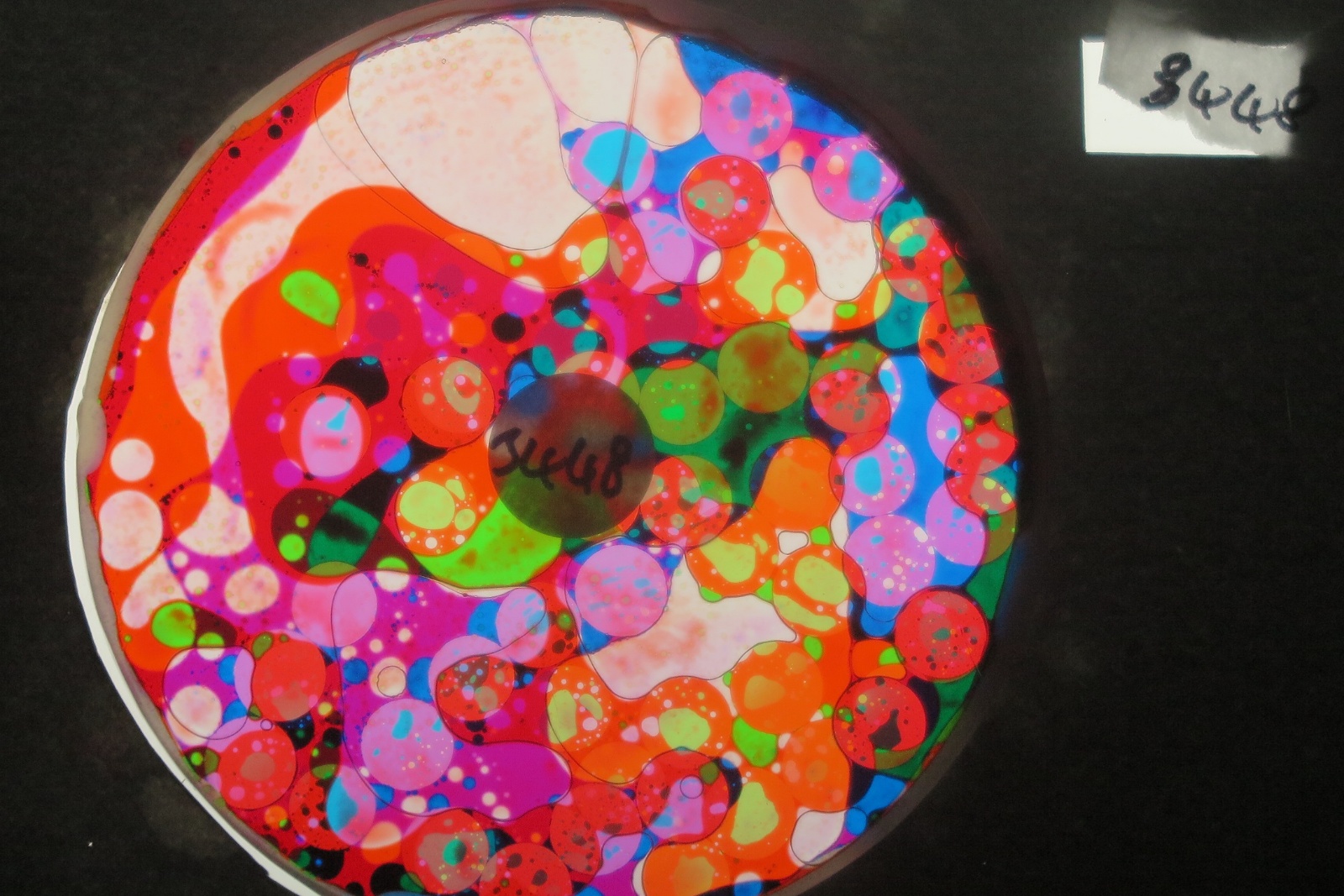 BV3448 bubble vision oil wheel